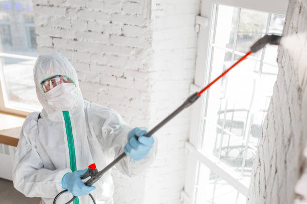 Professional Mold Inspection, Removal & Remediation in Laconia, NH