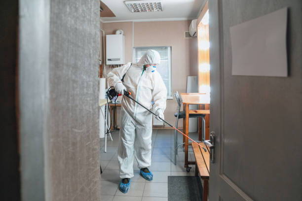 Best Commercial Mold Inspection  in Laconia, NH