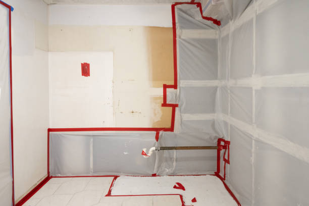 Mold Remediation for Vacation Homes in Laconia, NH